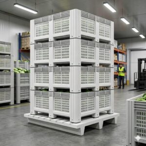 Pallets y Transporte